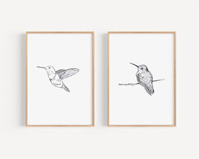 Seu Toque Aconchegante: Quadro Retrô de Beija-Flores