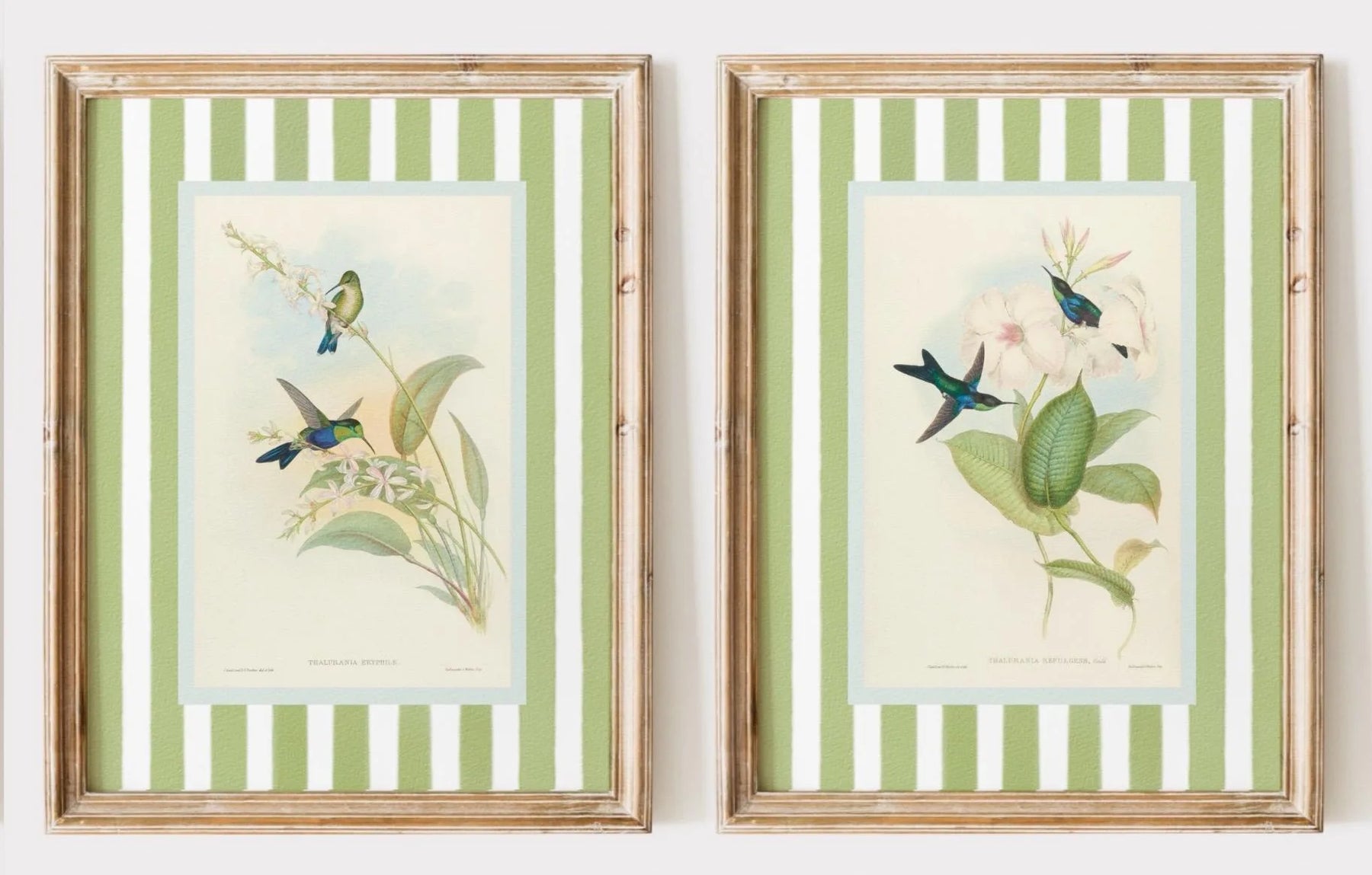 Seu Toque Aconchegante: Quadro Retrô de Beija-Flores