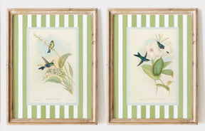 Seu Toque Aconchegante: Quadro Retrô de Beija-Flores
